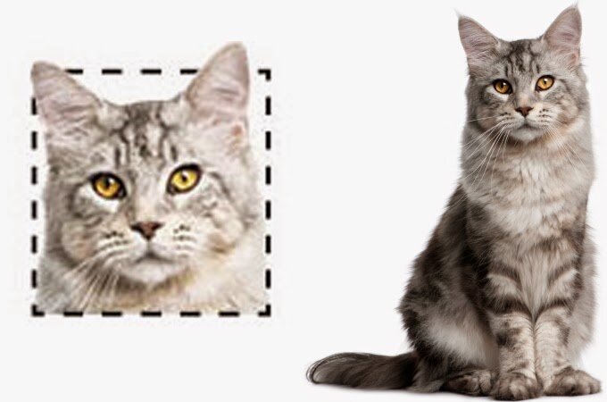 источник nypost.com