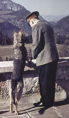 Всем известно, что одним из самых верных партнеров Германии в войне была Япония. Это было не для них самих - немцы и японцы уже делили весь мир. Большая часть Азии, включая Индию, достигла бы Японии. Это супергосударство даже имело титул "Общее богатство азиатских стран". Конечно, это просто громкое и красивое имя, которое отвлекает всех от того факта, что великие азиатские государства пожертвовали бы своей экономикой на благо Японии - так же, как Советский Союз.

Япония даже создала свод правил, которые привели бы Азию в целом в случае победы нацистов. Весь проект был представлен как освобождение азиатских наций от гнета западного капитализма, а его лозунгом была «Азия для азиатов». Каждая страна в этом союзе должна была принять японский язык в качестве своего собственного национального языка, и в каждой школе был бы как минимум 1 учитель японского языка, чтобы обеспечить развитие и поддержание японской культуры во всех странах. Интересно, что, согласно первоначальному факту, Австралия и Новая Зеландия также были в списке этих стран.
