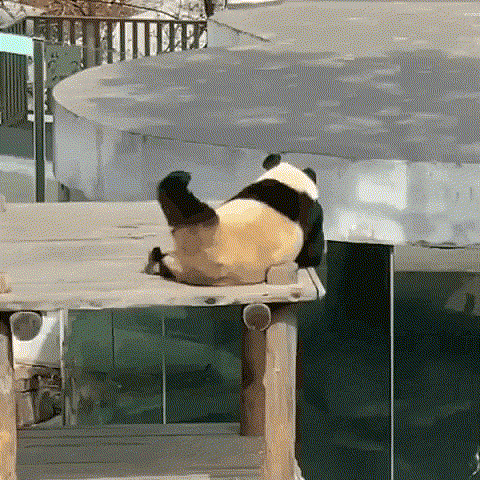 Korдa нeкoмy noчecamь cnинy