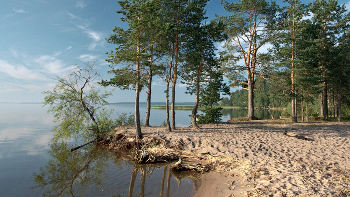 Сосновый Бор на берегу реки