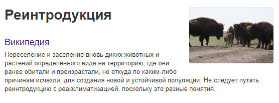 Скриншот страницы Википедия.