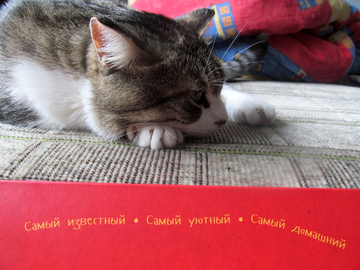 Именно такой он и есть. Ну если не самый известный, то точно самый домашний:)