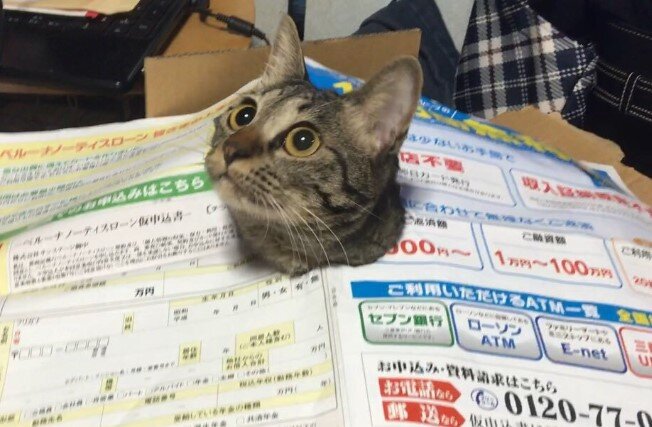 twitter/soramoon22