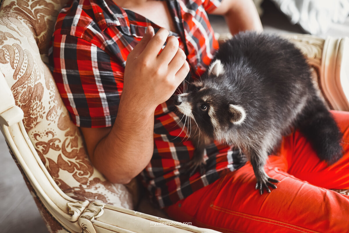 Источник: вселенная интернета