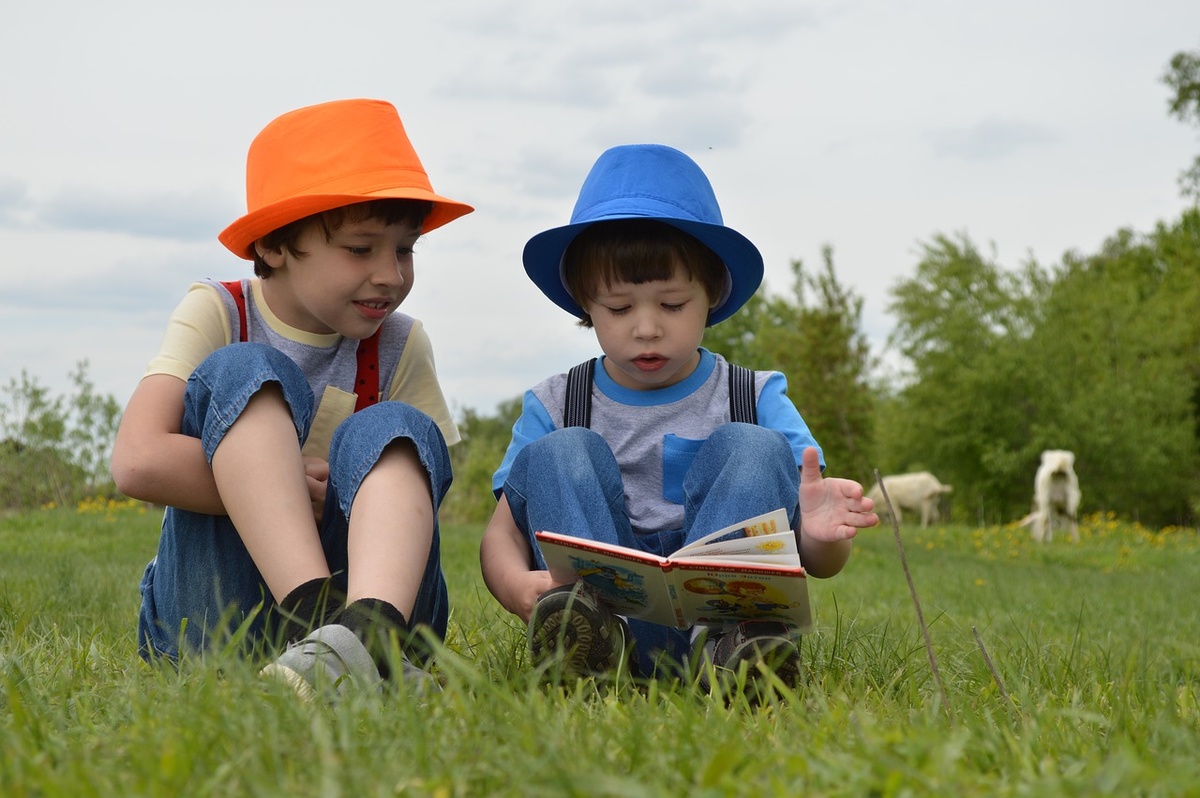 https://pixabay.com/photos/boys-meadow-kids-hats-read-book-3429868/