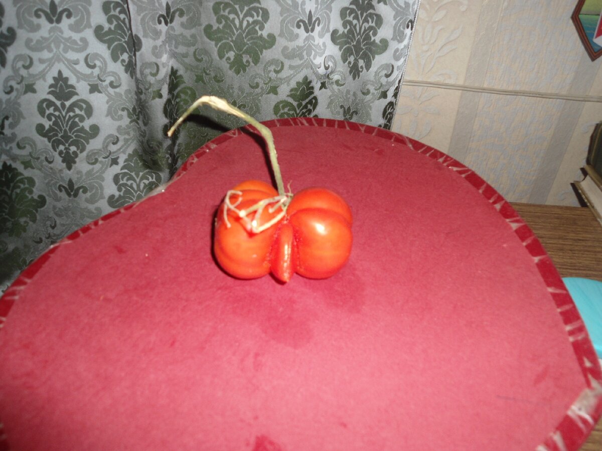 Как и люди, они разные