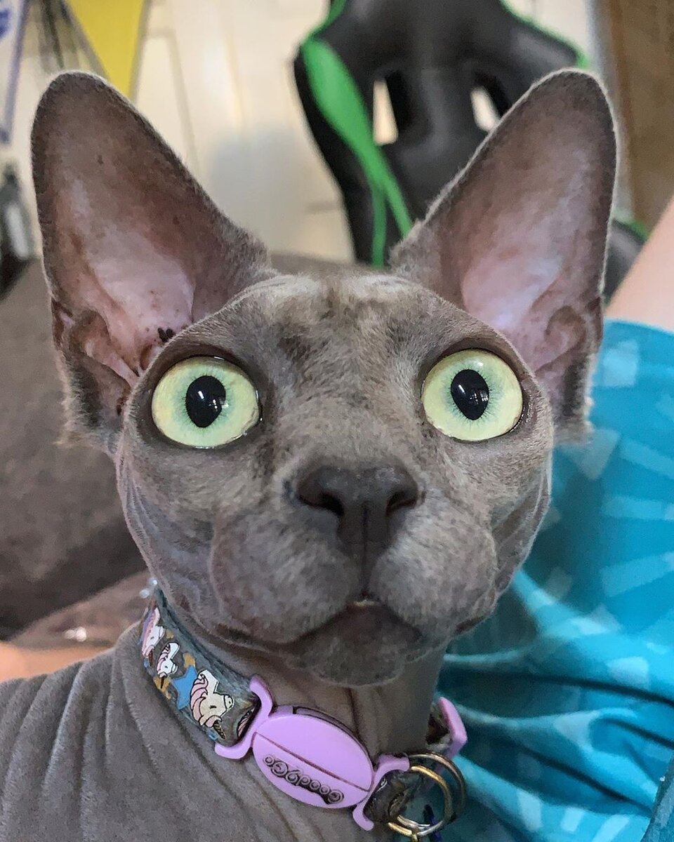 Когда узнал, что ты самый агрессивный