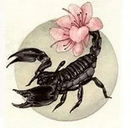 ♏Скорпион