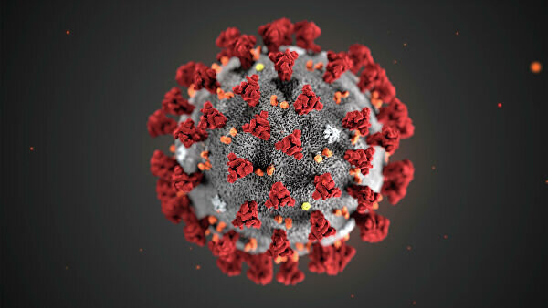 © AP Photo / CDC