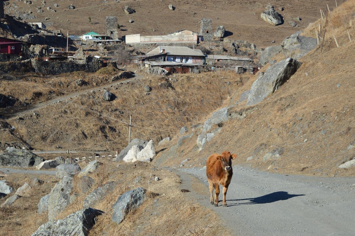 © МИР В ОБЪЕКТИВЕ/ СЕ ЧЕЛОВЕК