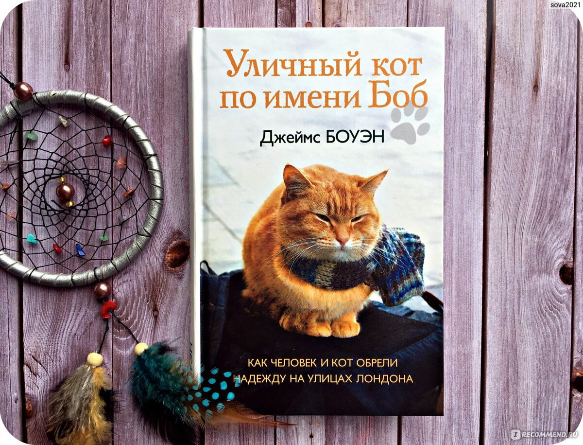 Книга Джеймса - "Уличный кот по имени боб"