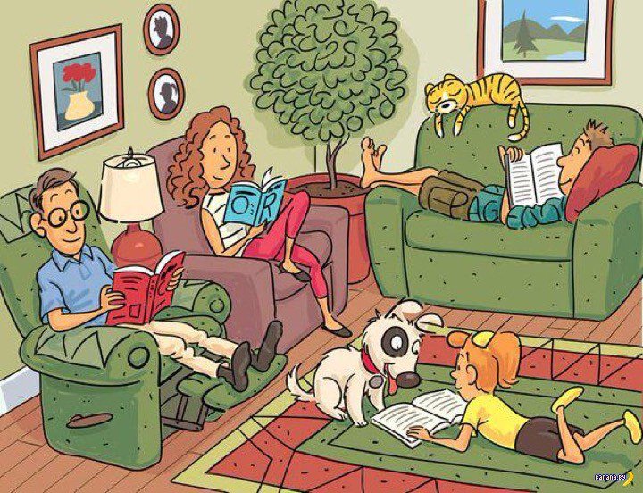 Тесты на внимание, логика, эрудиция