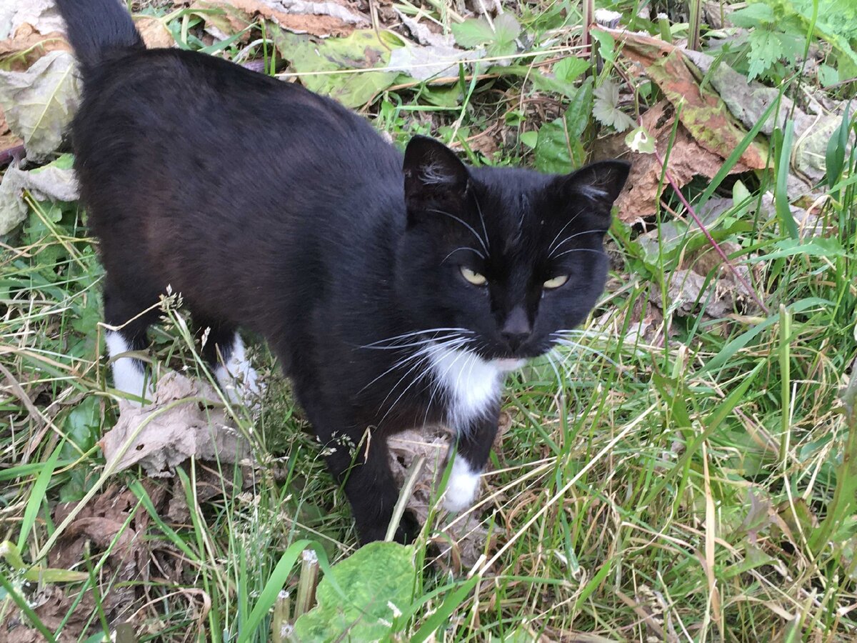 Подписывайтесь на канал и ставьте лайки! Комментарии приветствуются!