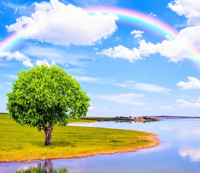 Картинка из интернет