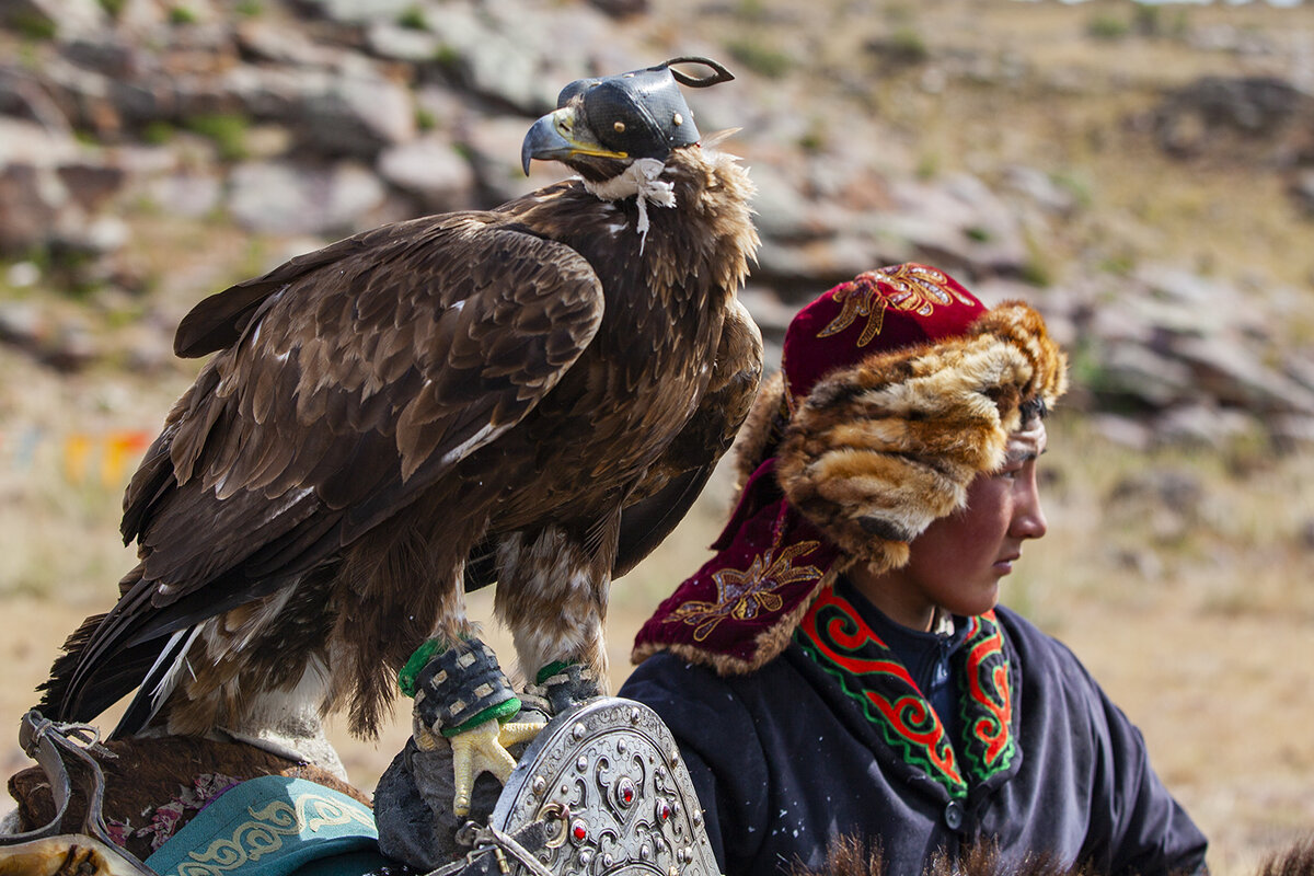 В это время в прошлом году началась подготовка к масштабному для нас путешествию из Москвы на восток Монголии. Наша цель – фестиваль «Золотой орёл» в горах близ города Улгий.