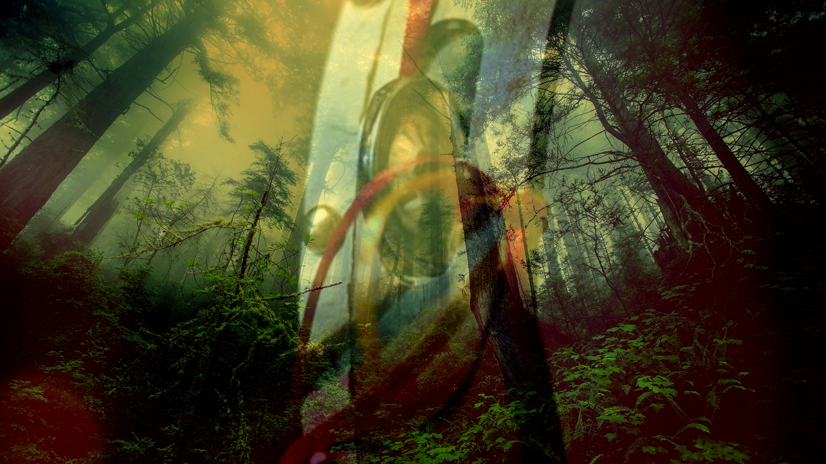 Авторский фотошоп, а фото-основы с pixabay.com