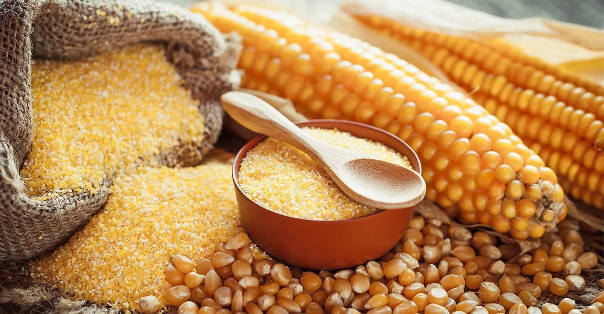 Кукуруза: початки, зерно, крупа