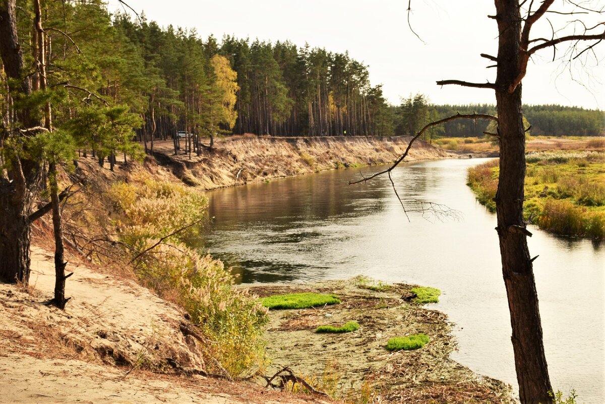 Погода карамышево псковская область