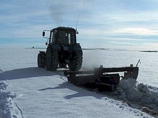 Фото из Яндекс Картинок