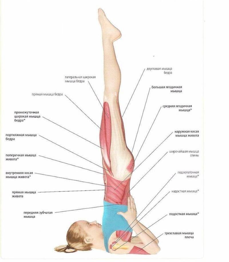 Поза всех частей тела