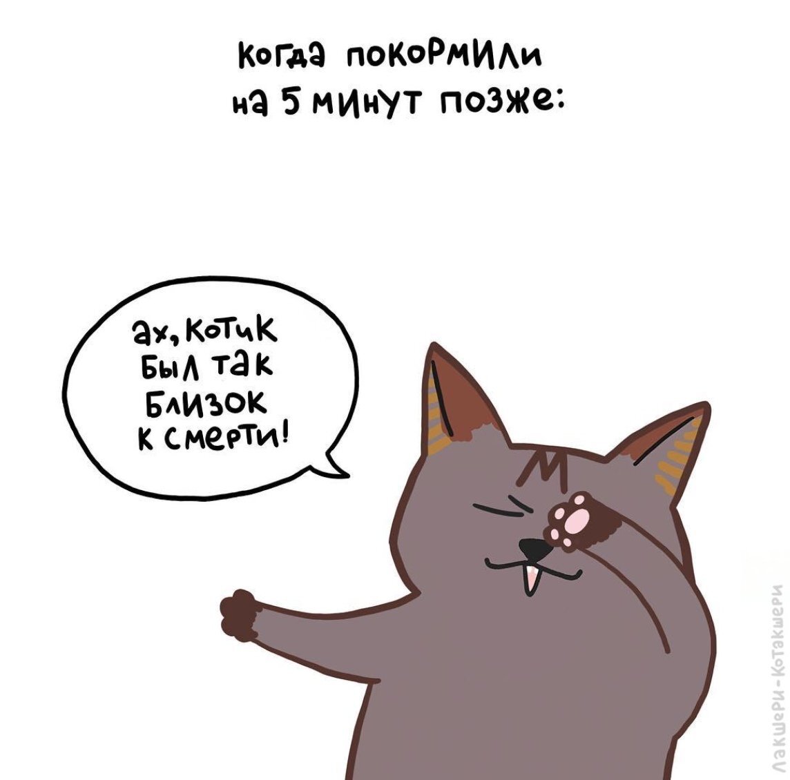 Картинка из открытых источников в интернете