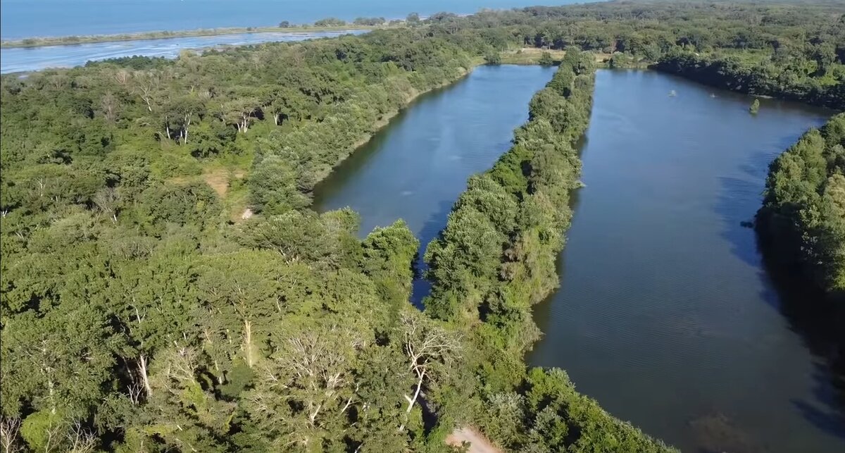 Самурский лес, а позади Каспийское морк!