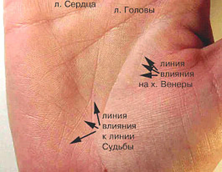 Линии судьбы. Линии на руке. Линия судьбы на руке.