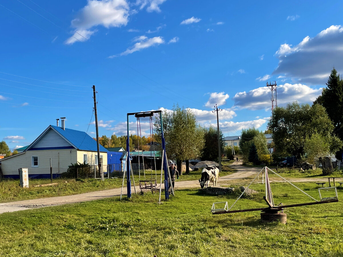 Большое и развитое село России — Комсомольское. Люди строят непривычные дома  и живут припеваючи | Под зонтиком | Дзен