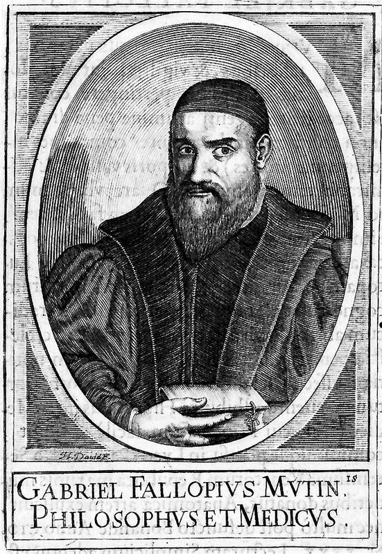 Габриэль фаллопий. Габриэль фаллопий. Г. Акушерство фаллопий. Фаллопия.
