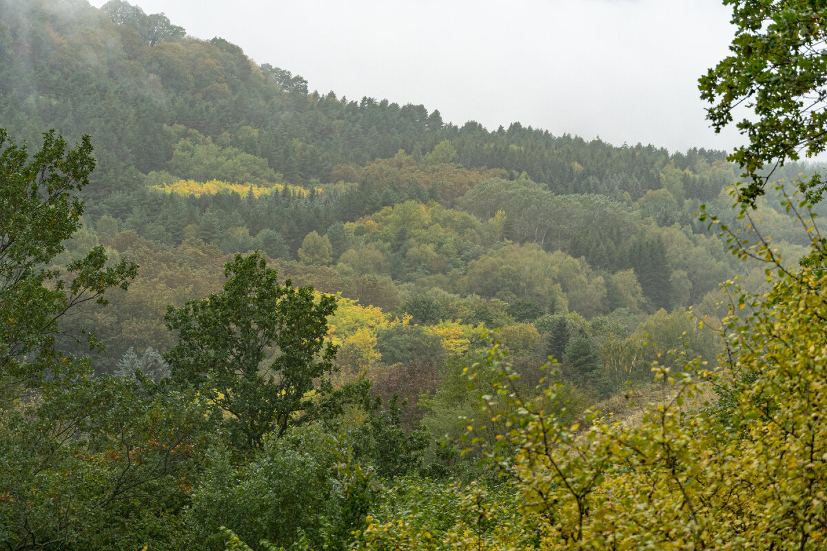 1. Вид на противоположный, левый борт ущелья реки Посейдон.