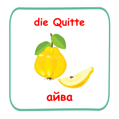 die Quitte