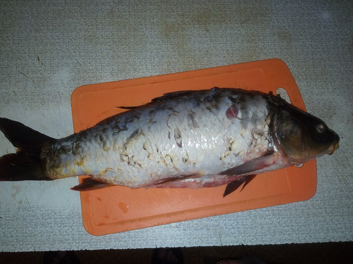 Как вкусно приготовить рыбу под маринадом?