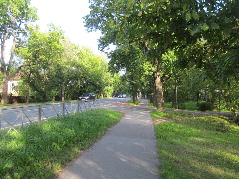 Ровная асфальтовая дорожка, а я еще помню времена, когда здесь была просто обочина...  