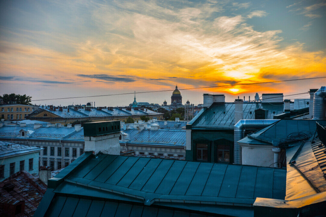 Фото: Sun_Shine / Shutterstock.com