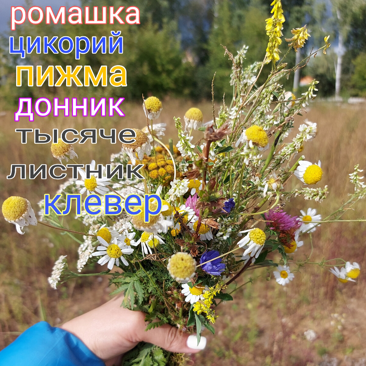 Сегодня собрала, начинаем с позитива, заряжаемся положительной энергией, она нам понадобится сегодня!