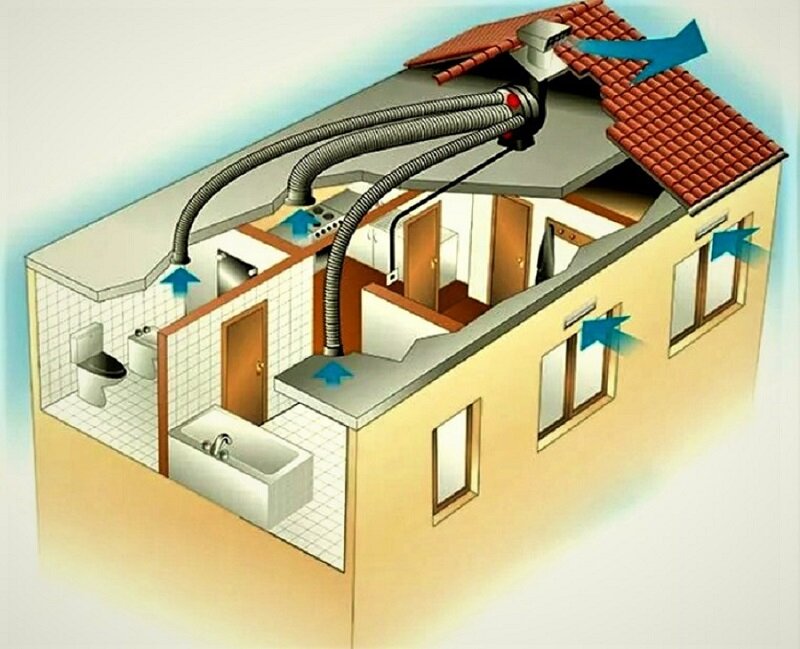 фото взято из открытых источников yandex.ru