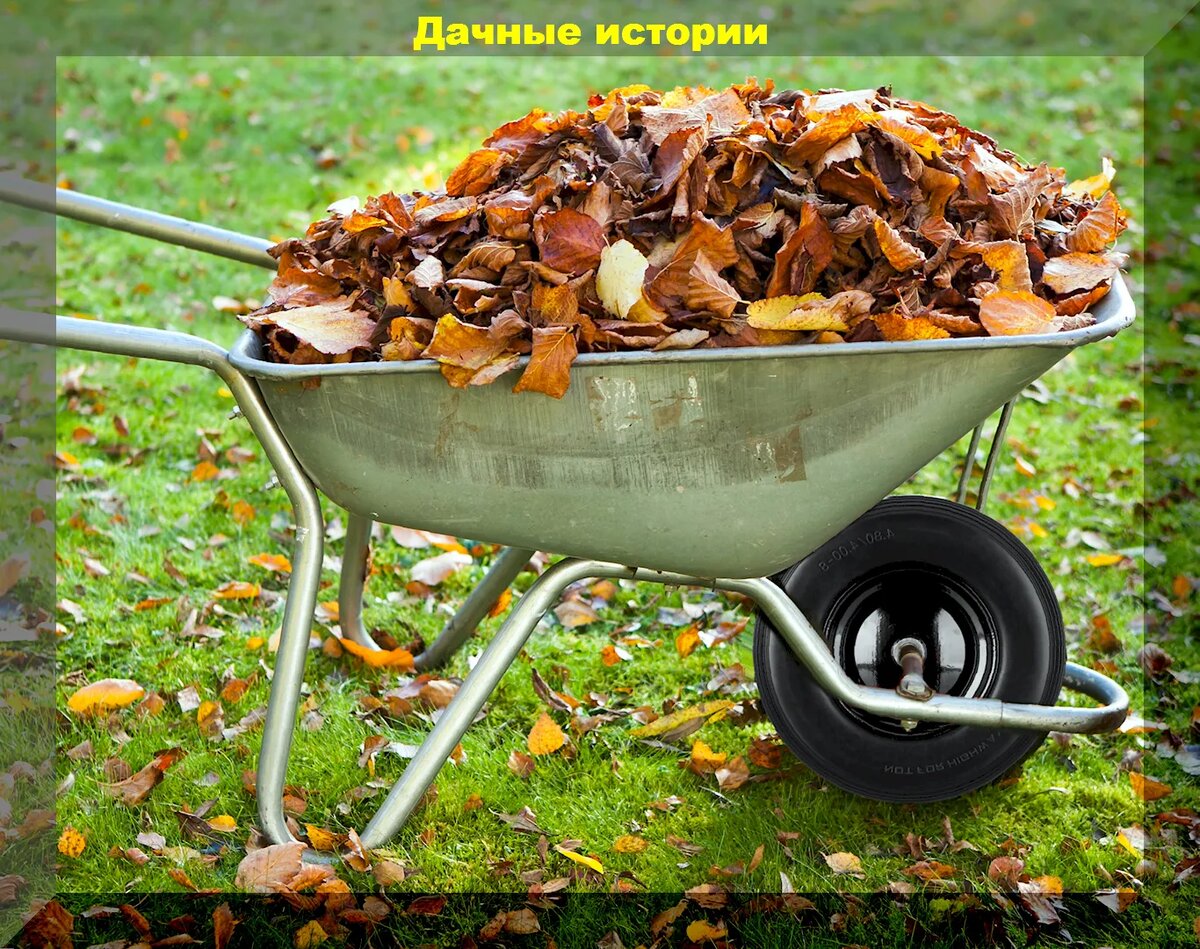 https://vk.com/photo-159774511_457255697