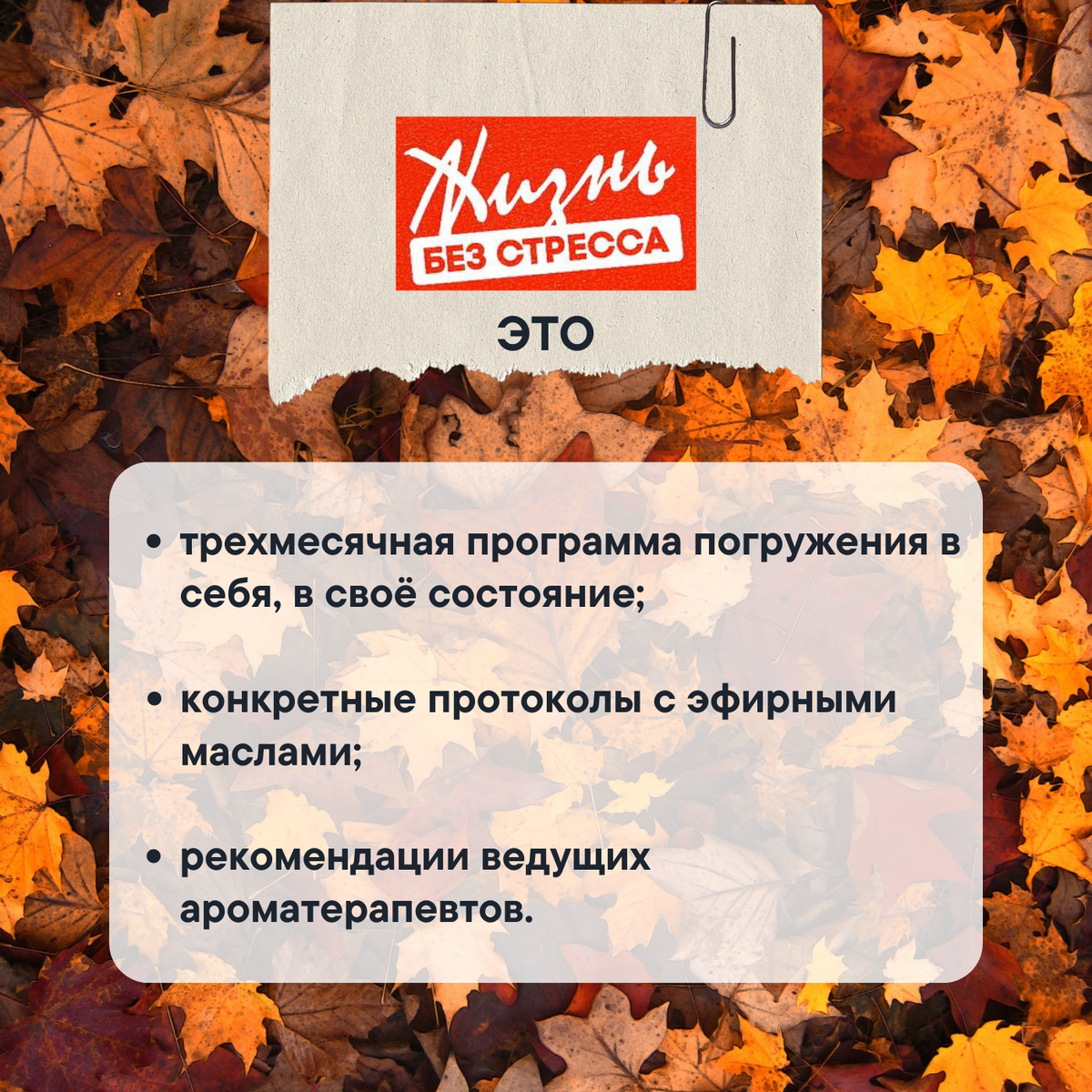 О практикуме "Жизнь без стресса".