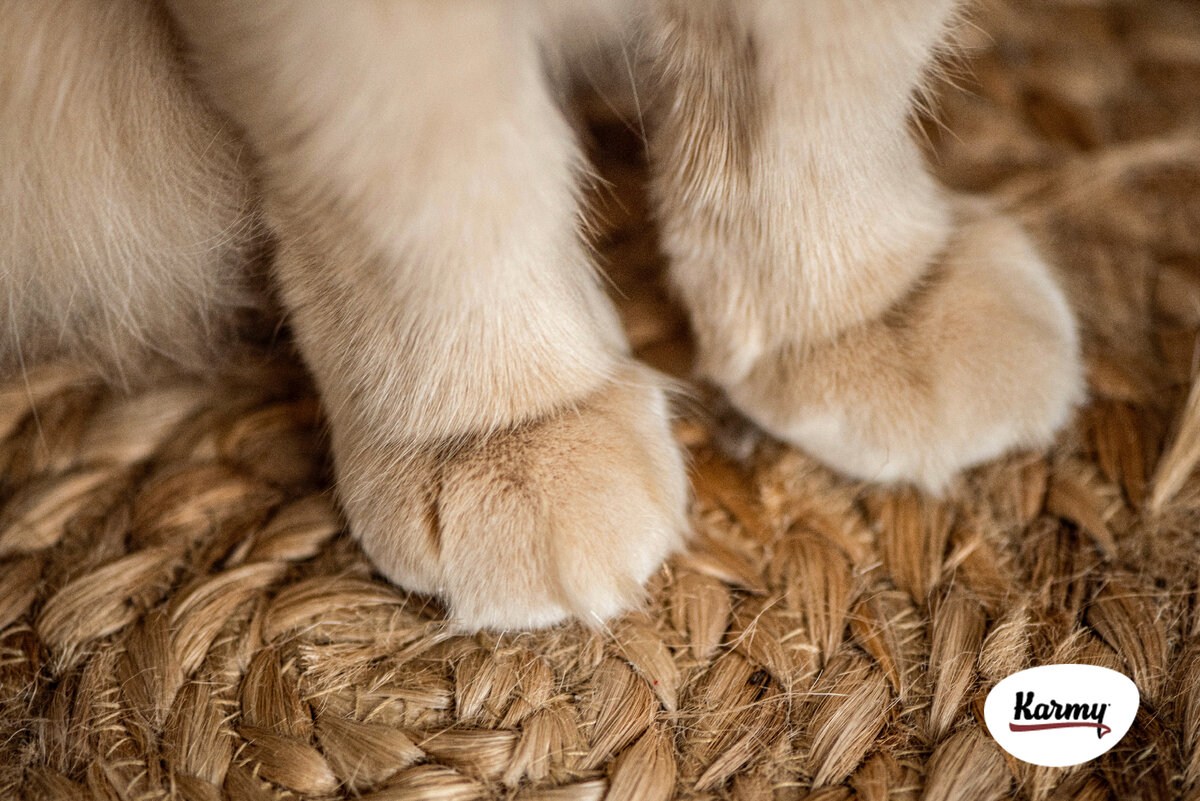 Авторское изображение с использованием картинки с фотостока "Unsplash"