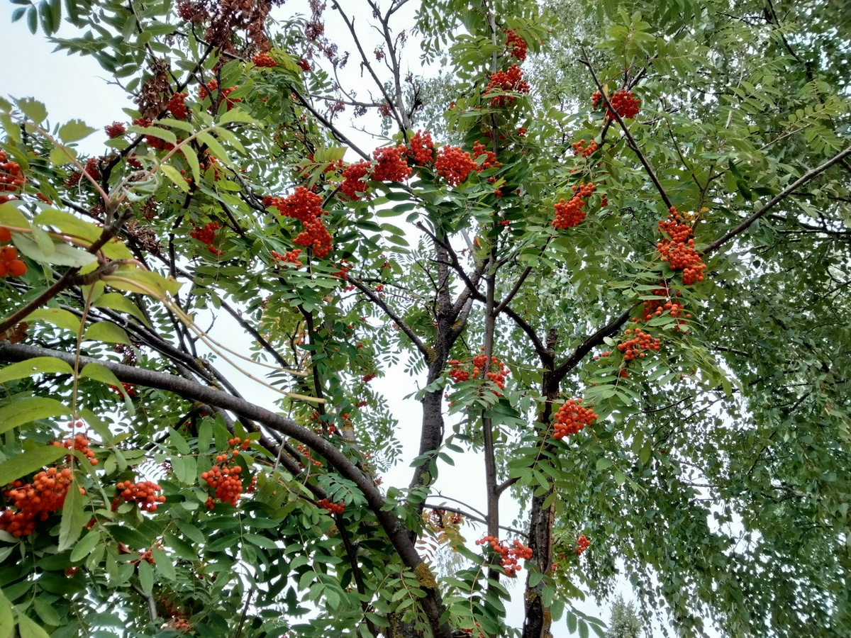 Фото Анастасии Петровой