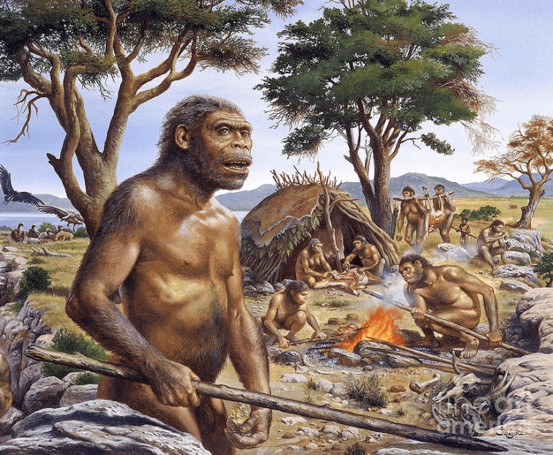 Самый древний народ. Человек прямоходящий homo Erectus. Хомо хабилис эпоха. Хомо хабилис архантропы. Архантропы (homo Erectus).