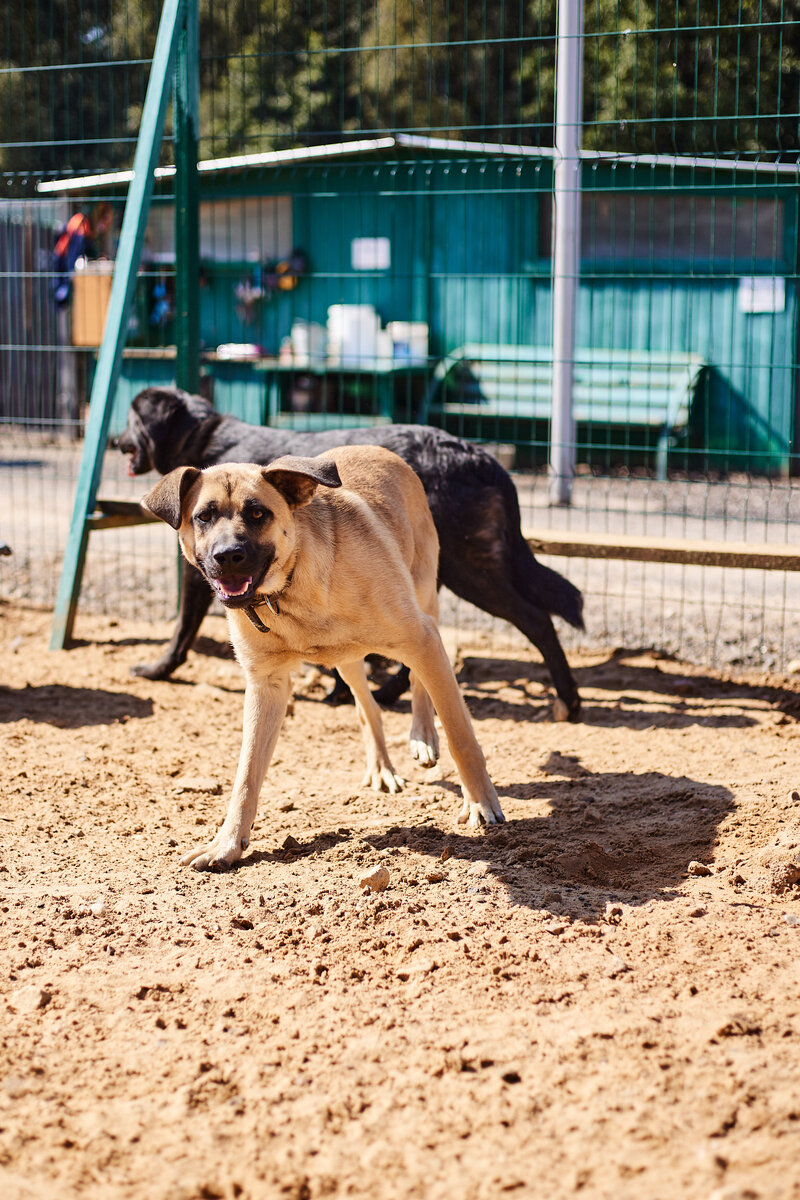 Ричи – светлый мальчик