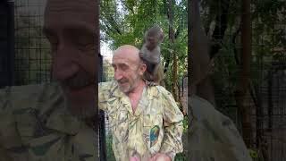 Гамадрил Люська и компания в ТАЙГАНЕ | Люська—СТИЛИСТ, открыла личный ...