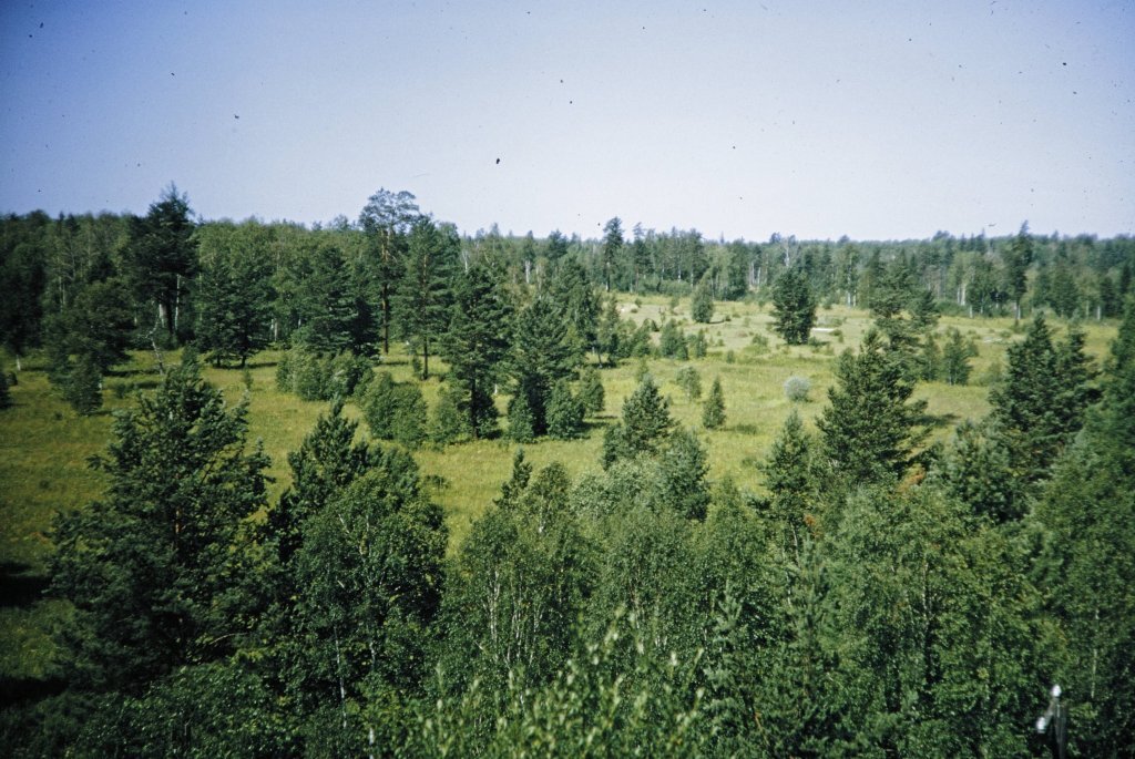    Фото Яндекс картинки Niekrashas