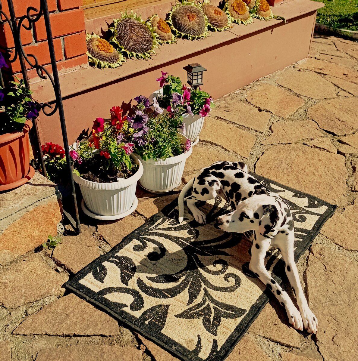 Герда загорает