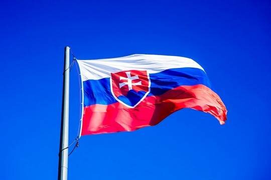    Бывший премьер и экс-глава МВД Словакии устроили драку в центре Братиславы