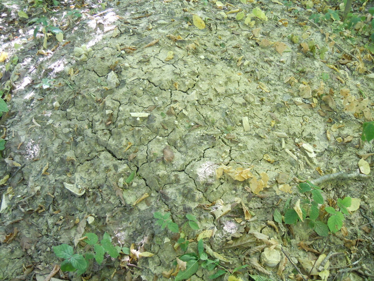 Далее переносимся к станице Новосвободной и посмотрим, как там дела с памятниками археологии в 2023 году.-5