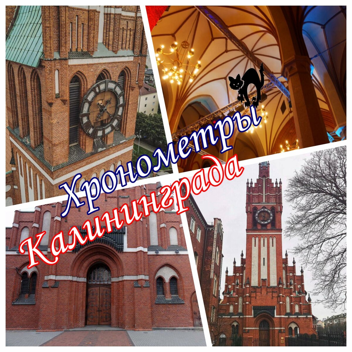 Коллаж составлен из фотографий, взятых свободным доступом из сети Интернет