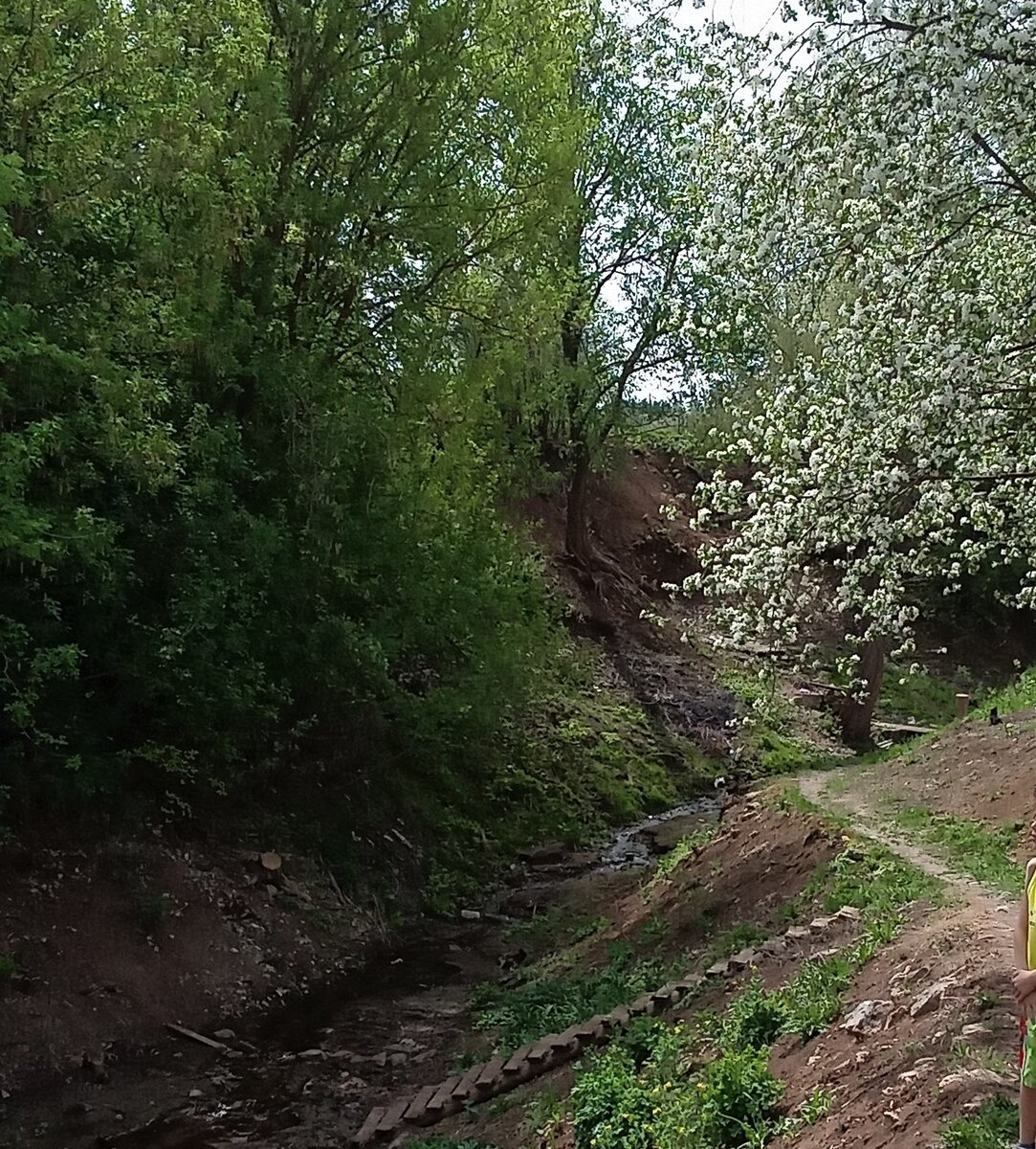                                      Тропинка через ручей. Фото автора канала.