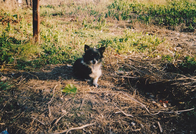 Фото из семейного альбома